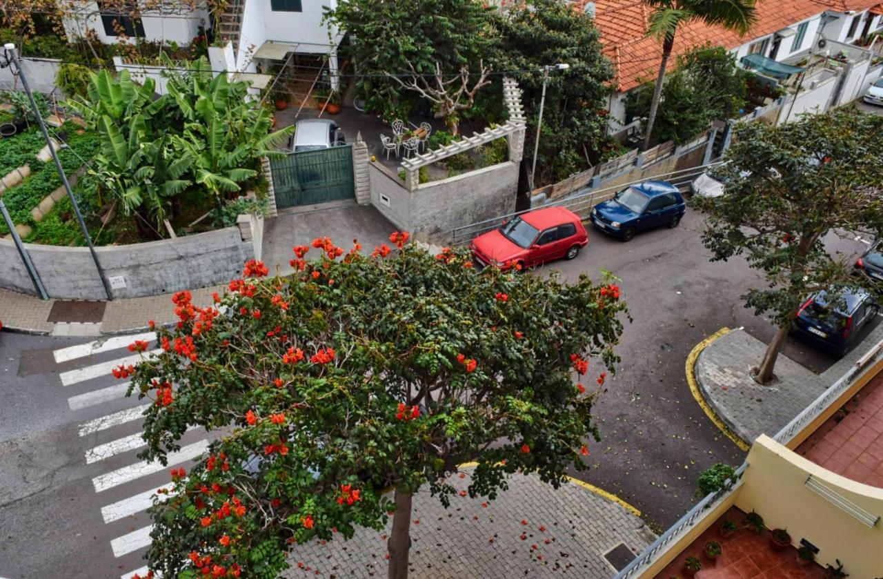 Perola, A Home In Madeira Funchal  Eksteriør billede